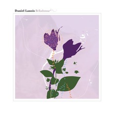 Belladonna mp3 Album by Daniel Lanois