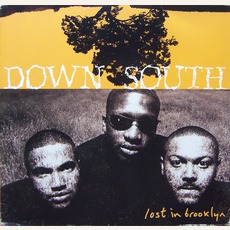 Lost In Brooklyn mp3 Album by Down South