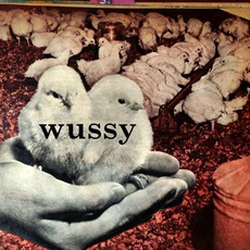 Wussy mp3 Album by Wussy
