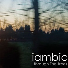 Through The Trees mp3 Album by iambic²