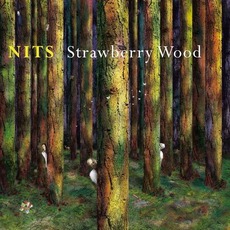 Strawberry Wood mp3 Album by Nits