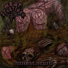 Festering Fecality mp3 Album by Meatstretcher