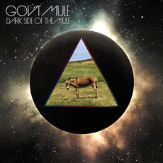 Dark Side Of The Mule (Deluxe Edition) mp3 Album by Gov't Mule