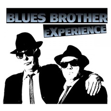 Blues Brother Experience mp3 Album by Blues Brother Experience