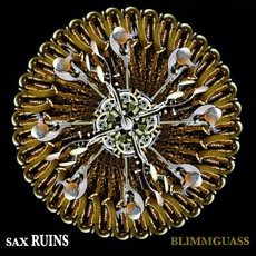 Blimmguass mp3 Album by Sax Ruins