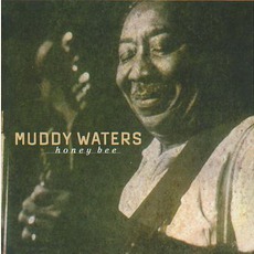 Honey Bee: Chicago Blues Session, Volume 47 mp3 Album by Muddy Waters