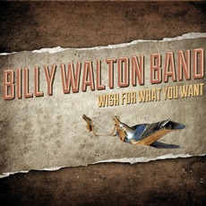 Wish For What You Want mp3 Album by Billy Walton Band