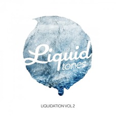 Liquidation Vol. 2 mp3 Compilation by Various Artists