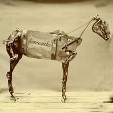 The Horse Comanche mp3 Album by Chadwick Stokes