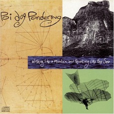 Wishing Like A Mountain And Thinking Like The Sea mp3 Album by Poi Dog Pondering