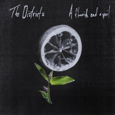 A Flourish And A Spoil mp3 Album by The Districts
