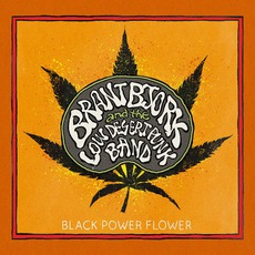 Black Power Flower mp3 Album by Brant Bjork And The Low Desert Punk Band