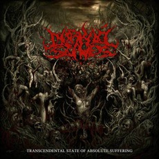 Transcendental State Of Absolute Suffering mp3 Album by Darkall Slaves