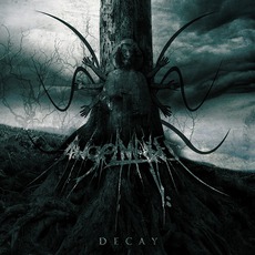 Decay mp3 Album by AngelMaker