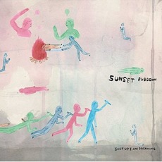 Shut Up I Am Dreaming mp3 Album by Sunset Rubdown