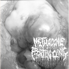 Untitled / Rectal Cranium Inversion mp3 Compilation by Various Artists