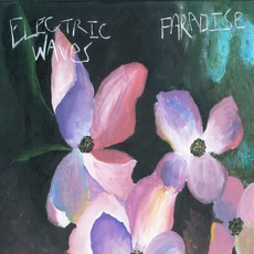 Paradise mp3 Album by Electric Waves