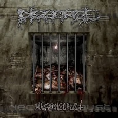 Necrholocaust mp3 Album by Disgorge
