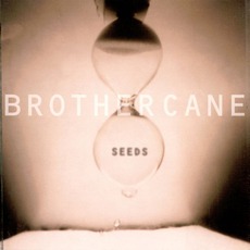 Seeds mp3 Album by Brother Cane