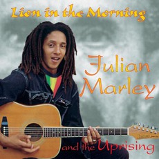 Lion In The Morning mp3 Album by Julian Marley