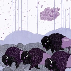 Plains Of The Purple Buffalo mp3 Album by *shels