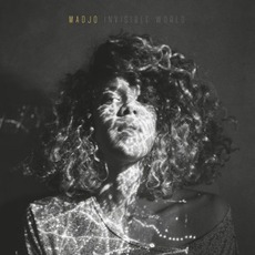 Invisible World mp3 Album by Madjo
