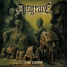 True Enemy mp3 Album by Disgrace