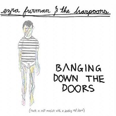 Banging Down The Doors mp3 Album by Ezra Furman & The Harpoons