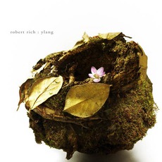 Ylang mp3 Album by Robert Rich