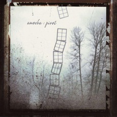 Pivot mp3 Album by Amoeba