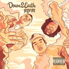 Wildfire mp3 Album by Down 2 Earth