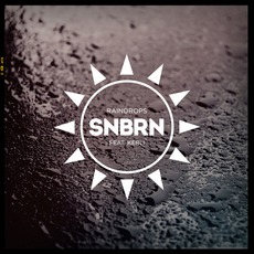 Raindrops mp3 Single by SNBRN Feat. Kerli