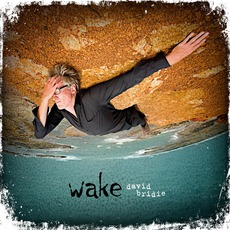 Wake mp3 Album by David Bridie