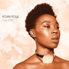 The One mp3 Album by Ntjam Rosie