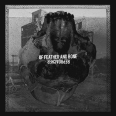 Of Feather And Bone & Reproacher mp3 Compilation by Various Artists