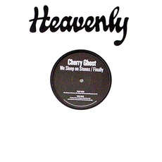 We Sleep On Stones mp3 Single by Cherry Ghost