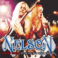 Perfect Storm: After The Rain World Tour 1991 mp3 Live by Nelson