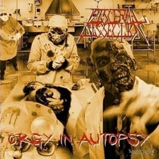 Orgy In Autopsy mp3 Album by Visceral Dissection