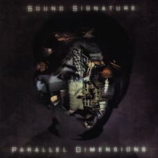 Parallel Dimensions mp3 Album by Theo Parrish