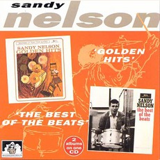 Golden Hits / The Best Of The Beats mp3 Artist Compilation by Sandy Nelson