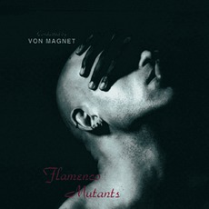 Flamenco Mutants mp3 Single by Von Magnet
