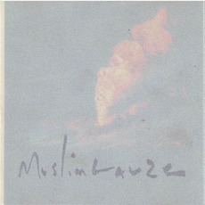 Farouk Enjineer mp3 Album by Muslimgauze