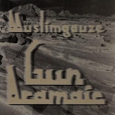 Gun Aramaic mp3 Album by Muslimgauze