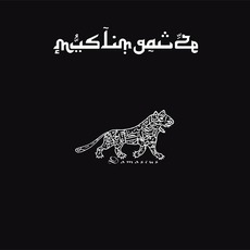 Damascus (Limited Edition) mp3 Album by Muslimgauze