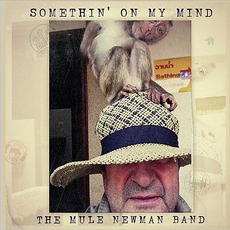 Somethin' On My Mind mp3 Album by The Mule Newman Band