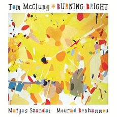 Burning Bright mp3 Album by Tom McClung