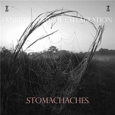 .Stomachaches. mp3 Album by Frnkiero Andthe Cellabration