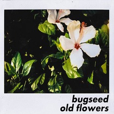 Old Flowers mp3 Album by Bugseed