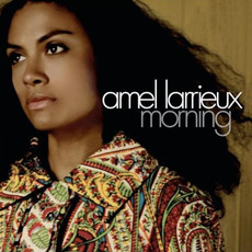Morning mp3 Album by Amel Larrieux