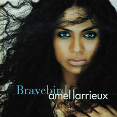 Bravebird mp3 Album by Amel Larrieux